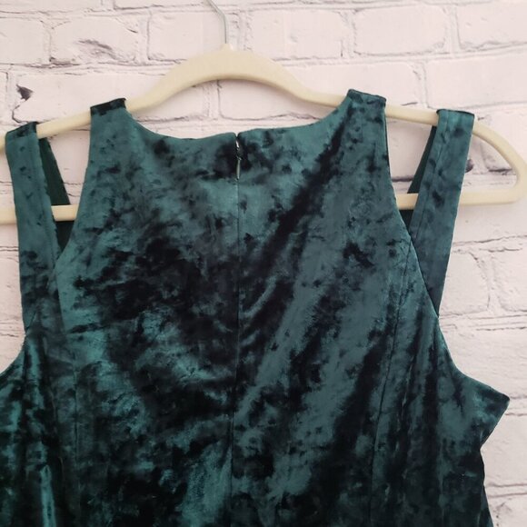 Maggy London Velour Dress - Picture 7 of 11